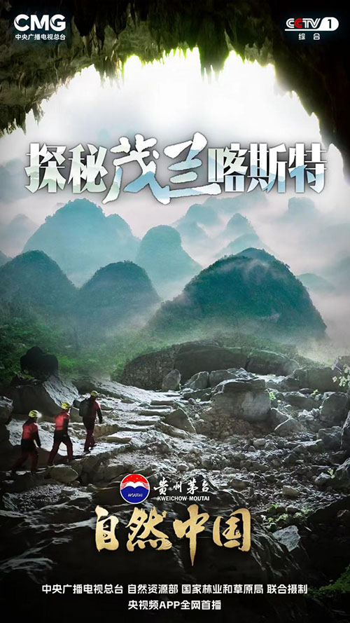 《探秘茂兰喀斯特》：看绝地之上如何“生”出绿色奇迹