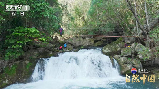 《探秘茂兰喀斯特》：看绝地之上如何“生”出绿色奇迹