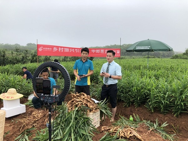 2026年度新时代青年先锋 | 徐杰：连接乡野与远方的“新邮人”