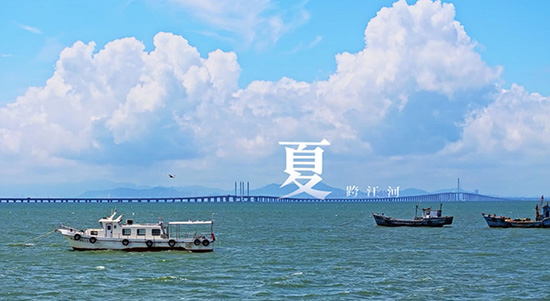 中国首部桥梁美学纪录片《中国桥衡》 大美中国因桥更美