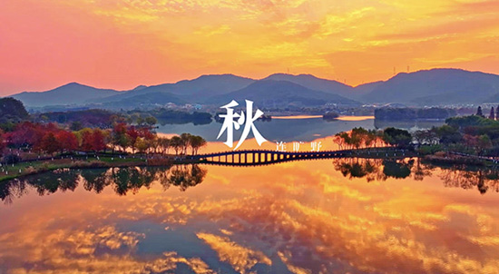 中国首部桥梁美学纪录片《中国桥衡》 大美中国因桥更美