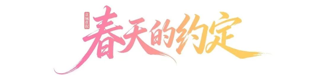 一城风雅,视听四季!“北京大视听”四季影视打卡路线暖心上线!