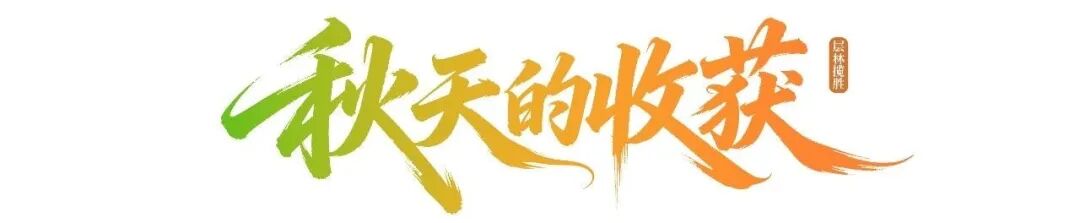 一城风雅,视听四季!“北京大视听”四季影视打卡路线暖心上线!