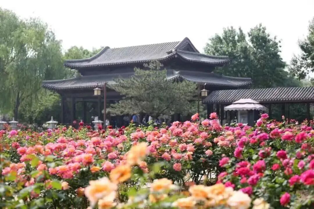 一口西瓜“咬”开盛夏 跟着“北京大视听”影视打卡路线一起甜蜜出发啦~