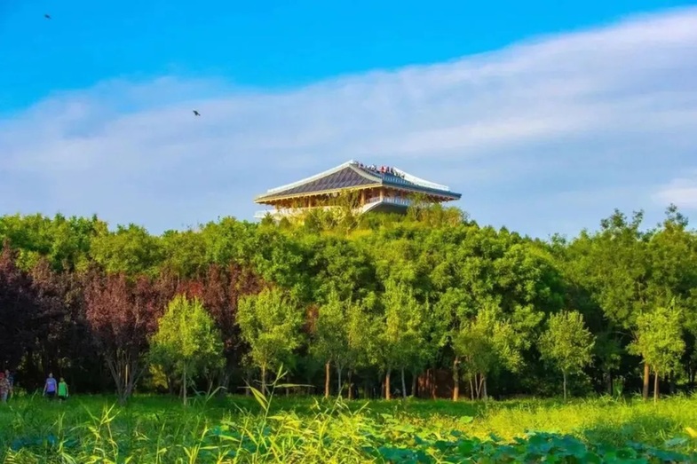 丰台90家公园实现“无界”，绿意随心而至