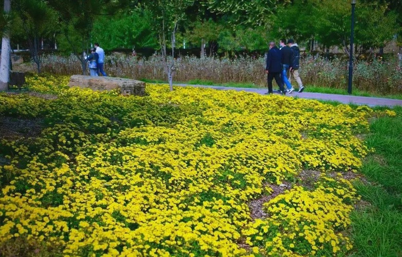 共守绿水青山底色 同筑首都碳中和梦想 ——北京园林绿化“十四五”碳汇工作巡礼 共守绿水青山底色 同筑首都碳中和梦想 ——北京园林绿化“十四五”碳汇工作巡礼