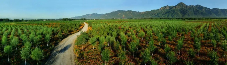 共守绿水青山底色 同筑首都碳中和梦想 ——北京园林绿化“十四五”碳汇工作巡礼 共守绿水青山底色 同筑首都碳中和梦想 ——北京园林绿化“十四五”碳汇工作巡礼