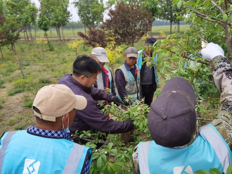 大兴区以林长制守牢生态底线,共绘花园城市生态画卷 大兴区以林长制守牢生态底线,共绘花园城市生态画卷