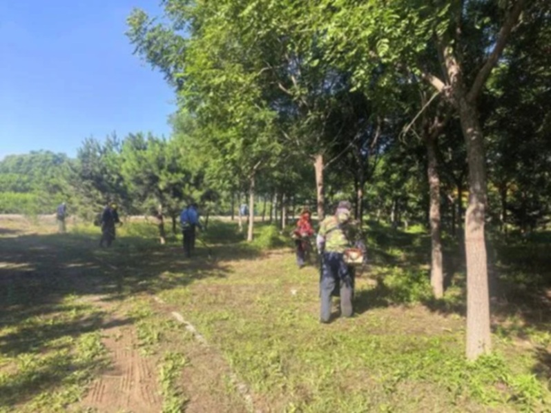 大兴区以林长制守牢生态底线,共绘花园城市生态画卷 大兴区以林长制守牢生态底线,共绘花园城市生态画卷