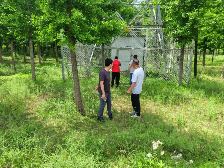 大兴区以林长制守牢生态底线,共绘花园城市生态画卷 大兴区以林长制守牢生态底线,共绘花园城市生态画卷