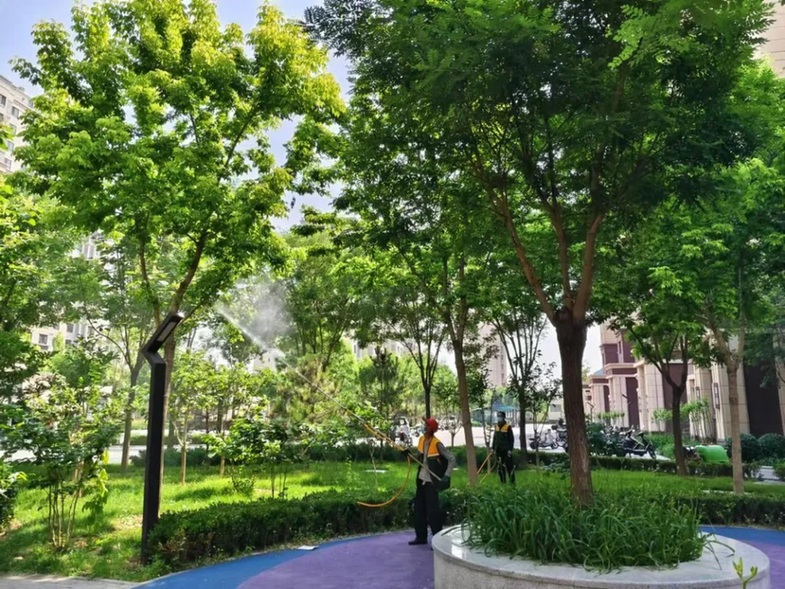 大兴区以林长制守牢生态底线,共绘花园城市生态画卷 大兴区以林长制守牢生态底线,共绘花园城市生态画卷