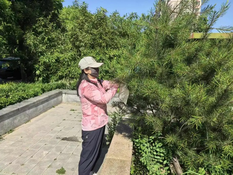 大兴区以林长制守牢生态底线,共绘花园城市生态画卷 大兴区以林长制守牢生态底线,共绘花园城市生态画卷