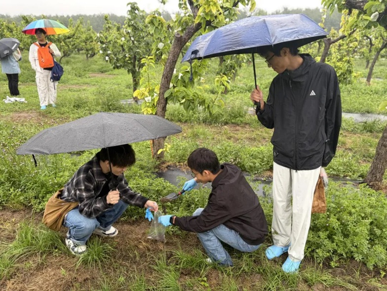 大兴区以林长制守牢生态底线,共绘花园城市生态画卷 大兴区以林长制守牢生态底线,共绘花园城市生态画卷
