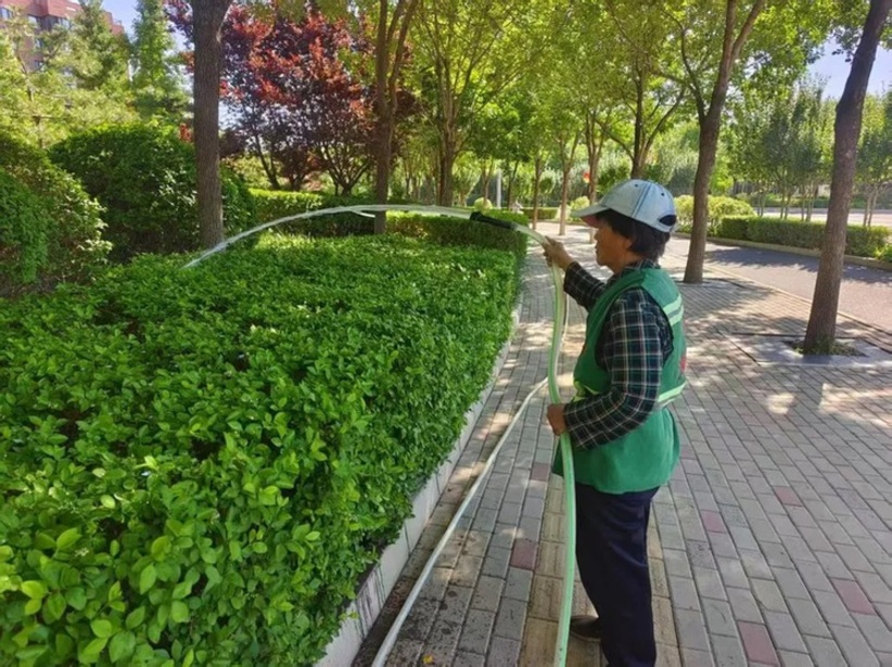大兴区以林长制守牢生态底线,共绘花园城市生态画卷 大兴区以林长制守牢生态底线,共绘花园城市生态画卷