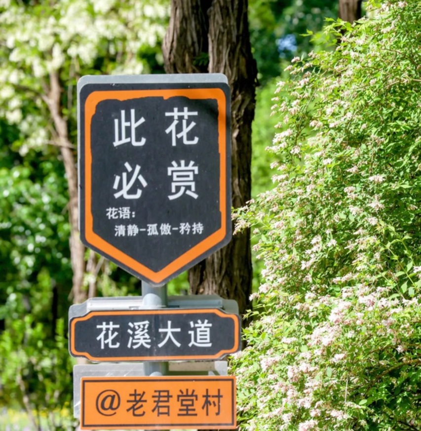“建好看”到“用得好”： 北京二绿郊野公园提质升级