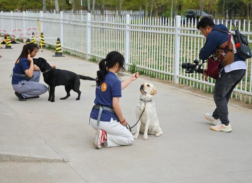 北京高校助力推进教育科技人才一体发展特别报道｜北京农学院④：图说北京农学院