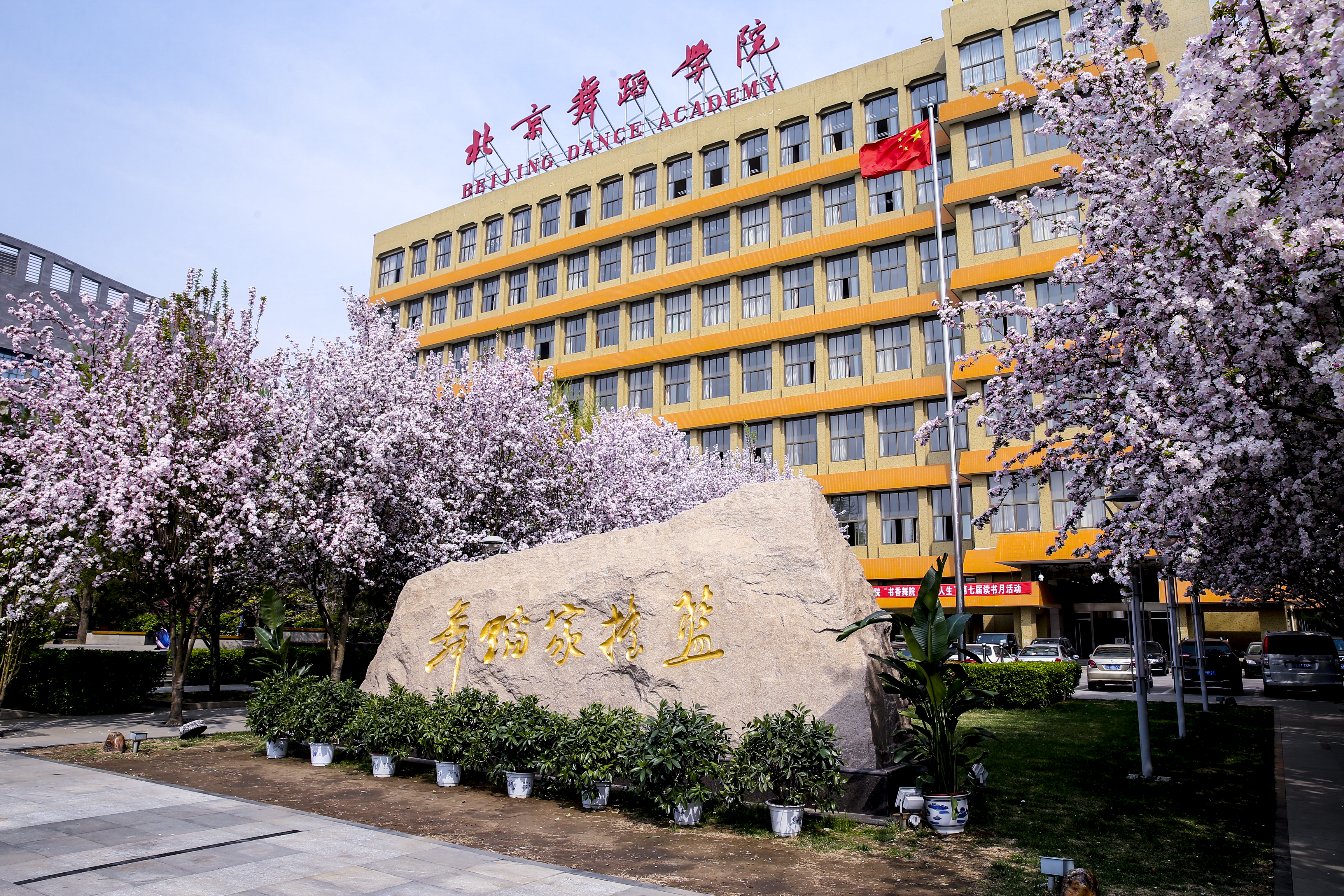 北京高校助力推进教育科技人才一体发展特别报道|北京舞蹈学院①：把立德树人落实到舞台一线