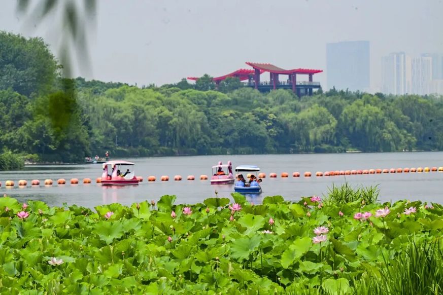 融古建文脉、长河阔野、湿地生态，副中心赏荷别有意趣