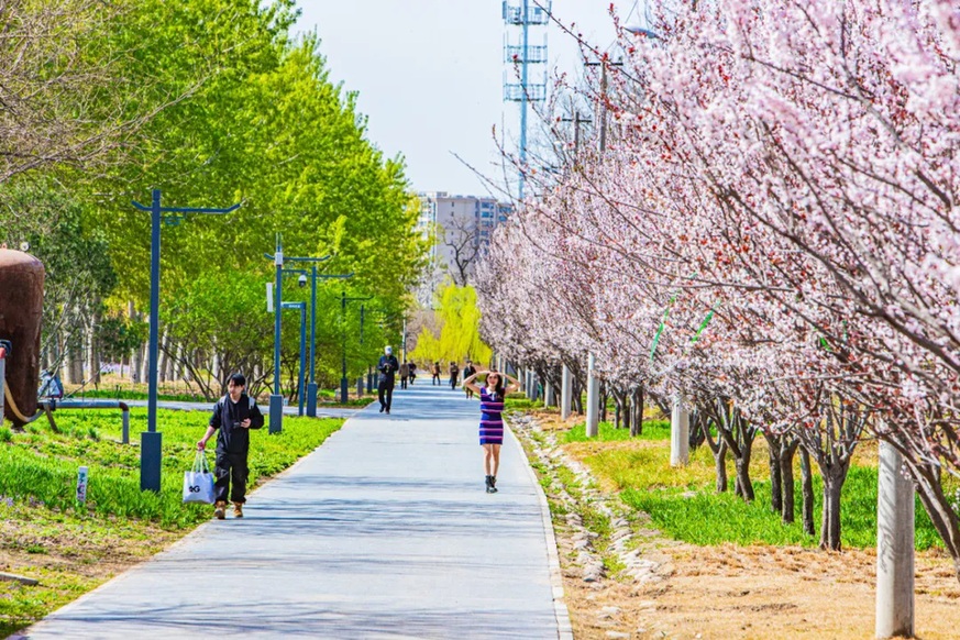 见证北京南城巨变!五年时光,丰台这处渣土荒山变身城市活力公园 见证北京南城巨变!五年时光,丰台这处渣土荒山变身城市活力公园