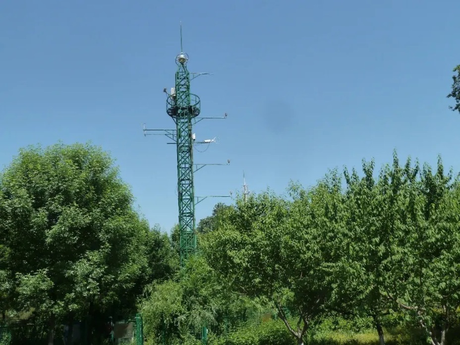 数智感知满城绿意!解码北京城市森林生态价值 数智感知满城绿意!解码北京城市森林生态价值