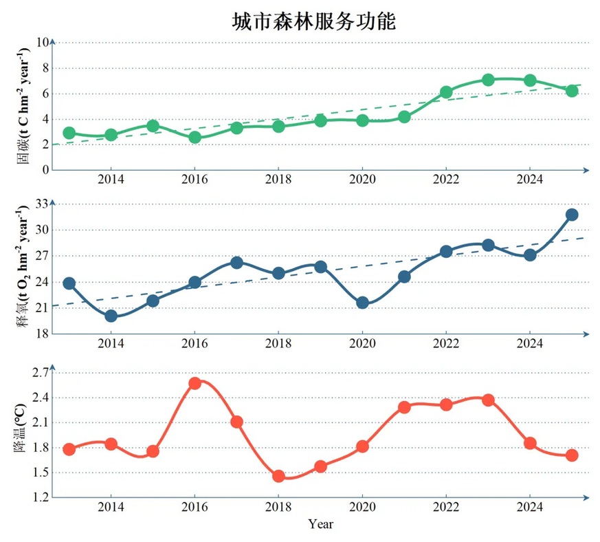 数智感知满城绿意!解码北京城市森林生态价值 数智感知满城绿意!解码北京城市森林生态价值