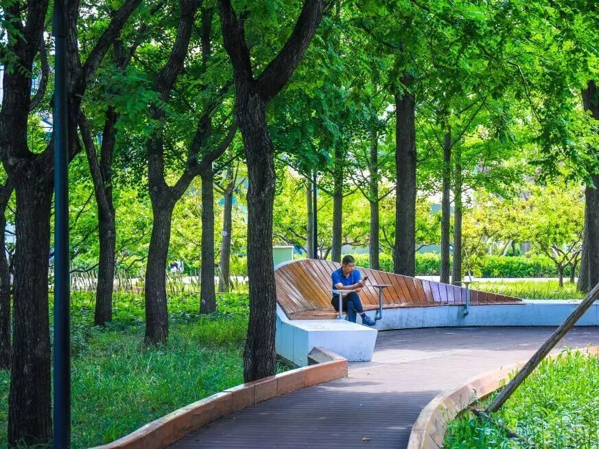 海淀四环边,15公顷“宝藏绿地”焕新开放!赏花、散步、健身……全龄友好! 海淀四环边,15公顷“宝藏绿地”焕新开放!赏花、散步、健身……全龄友好!
