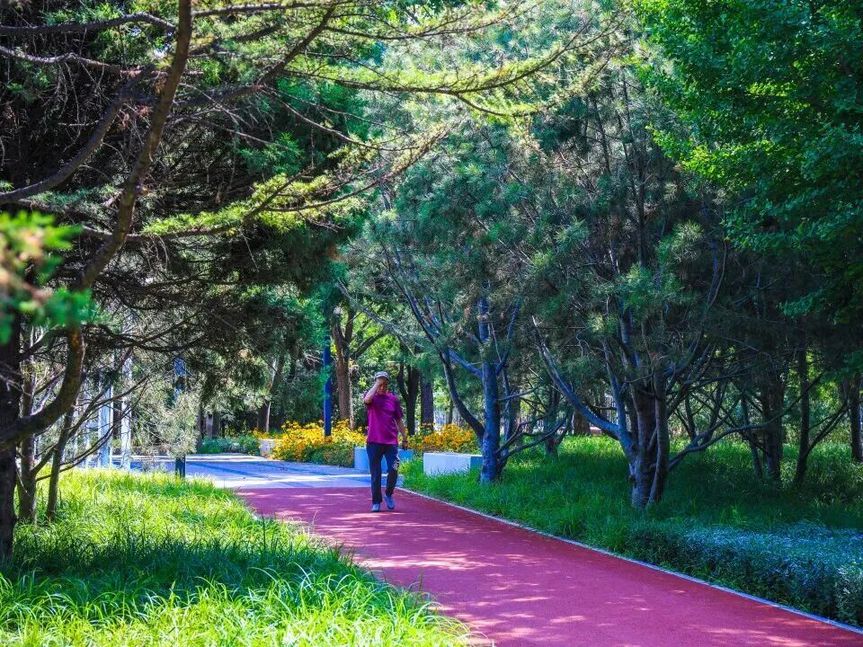 海淀四环边,15公顷“宝藏绿地”焕新开放!赏花、散步、健身……全龄友好! 海淀四环边,15公顷“宝藏绿地”焕新开放!赏花、散步、健身……全龄友好!