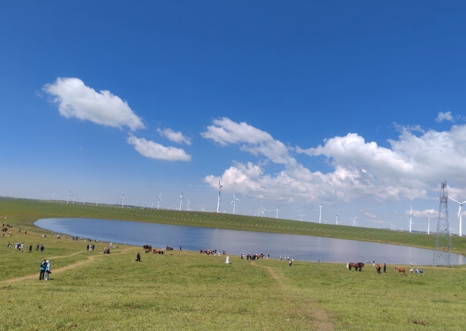 数说绿色 智引发展|从“沙跑”到“草低”:内蒙古的生态与农旅之变 数说绿色 智引发展|从“沙跑”到“草低”:内蒙古的生态与农旅之变