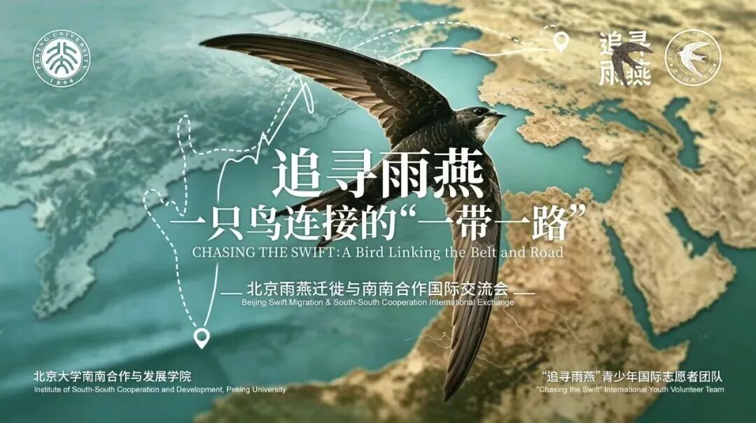 “信使”雨燕联结中非文明互鉴——北京视听IP全球化塑造交出新答卷