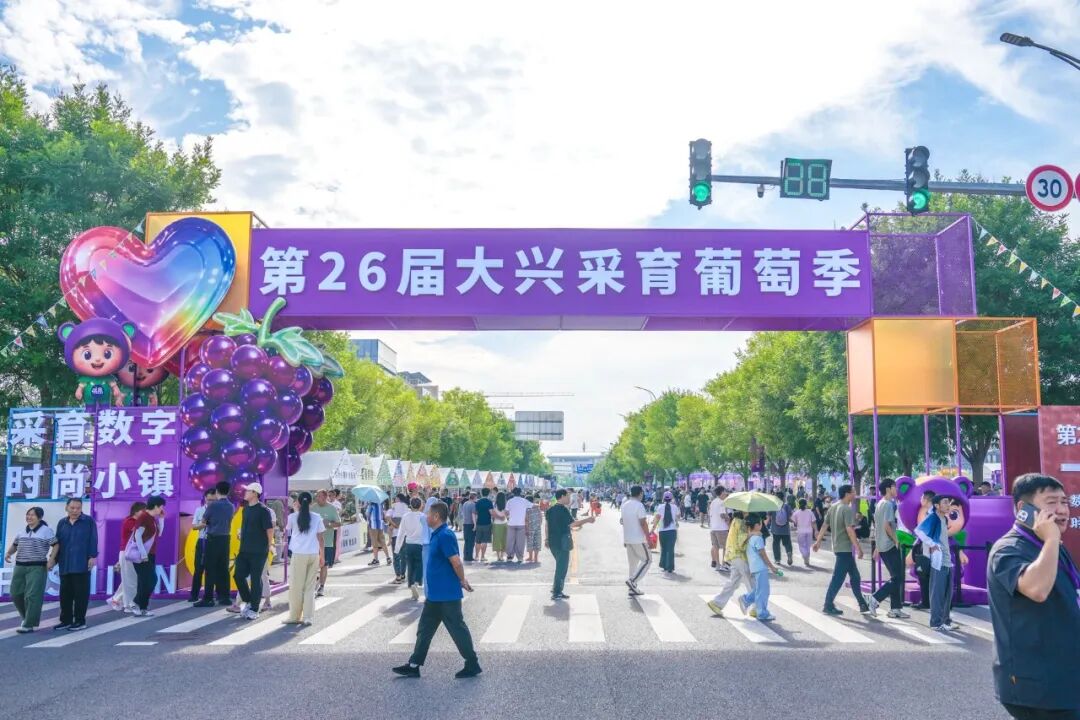 “葡萄味儿”的周末!大兴采育葡萄季玩出时尚新花样