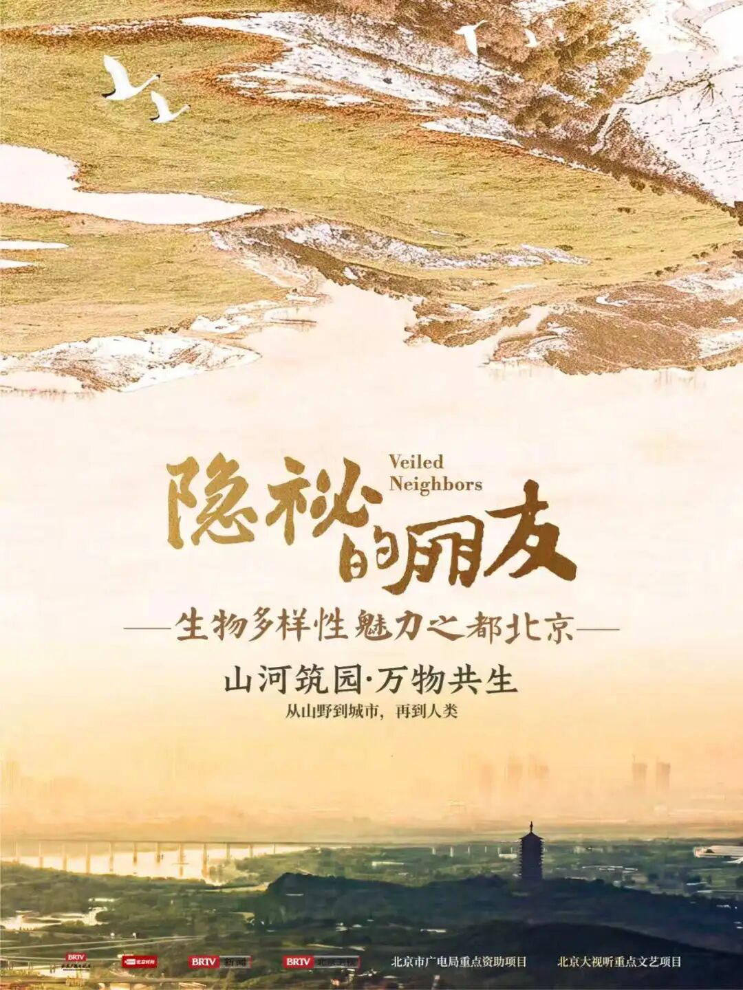 “山河筑园 万物共生”四集全景纪录片《隐秘的朋友—生物多样性魅力之都北京》明日开播