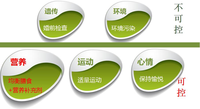 孕期营养补充与新生儿畸形之间的关系