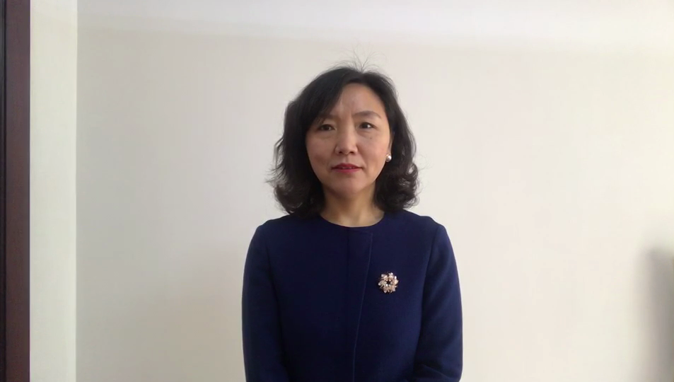 中国传媒大学经济与管理学院经济系教授方英接受光明网视频采访