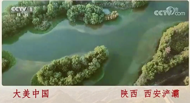 绽放生态之美~中省市主流媒体聚焦大美浐灞