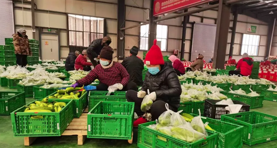 第二批56000箱保供蔬菜送达西咸新区秦汉新城