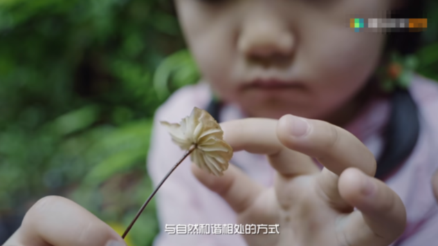 京产纪录片《雨林之子》：讲述传承故事 彰显生活态度
