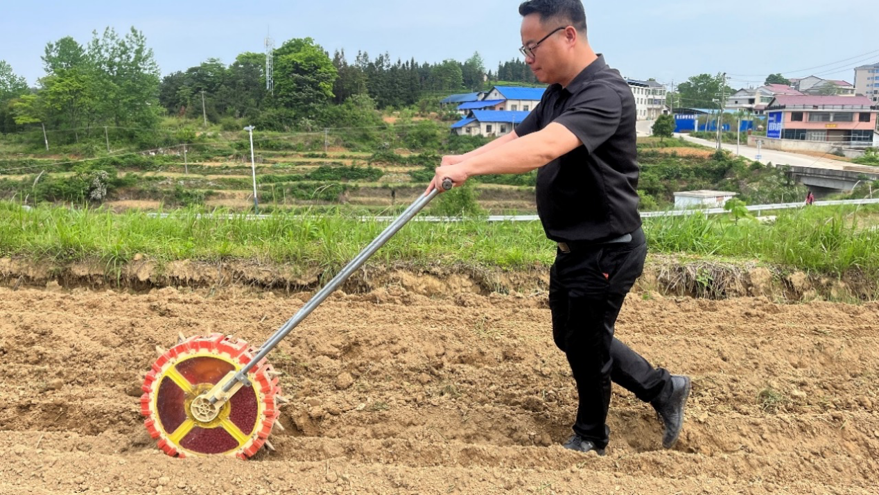 田中华：二十四载热忱坚守，用小籽花生点亮乡村振兴之路