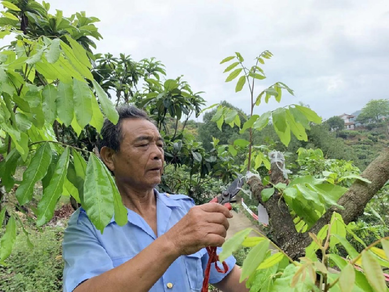 俞祖兴：作物种植一线的“银发力量”