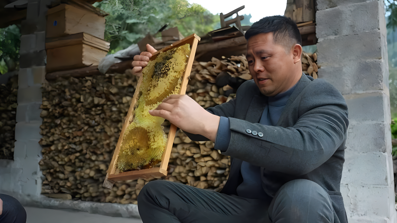 潘彦君：恭城好“蜂”景，酿出甘甜“蜜”