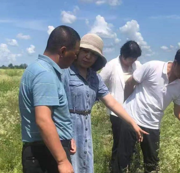 安立茹：归乡女药农，田野中绽放“她力量”