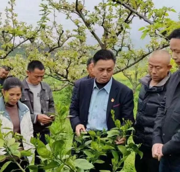 肖小春：果农们的百事通，吉水县的振兴人