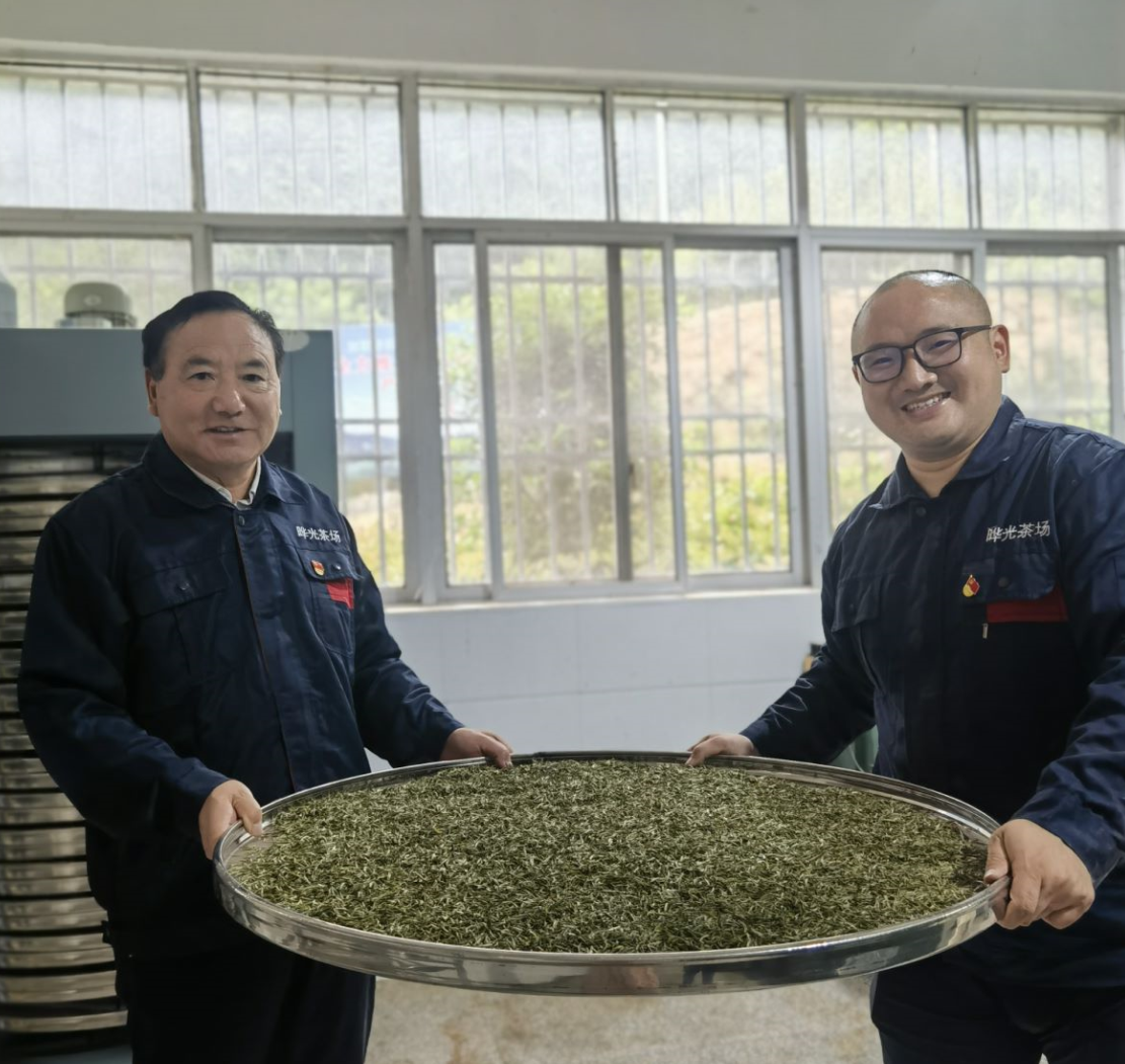 王超：以茶为媒，共赴乡村振兴之约