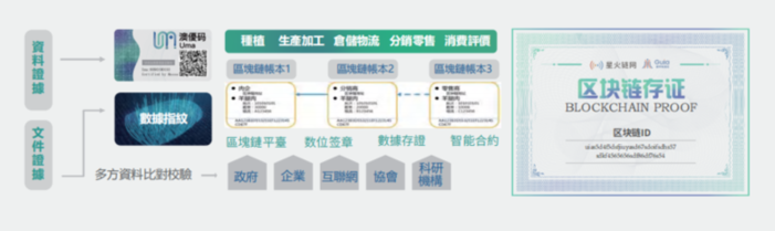 锚定场景痛点，在数字化转型主战场上突破重围