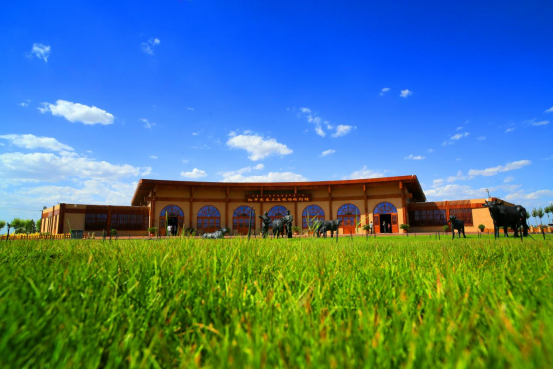 古韵今风:鄂尔多斯的历史与传承 古韵今风:鄂尔多斯的历史与传承