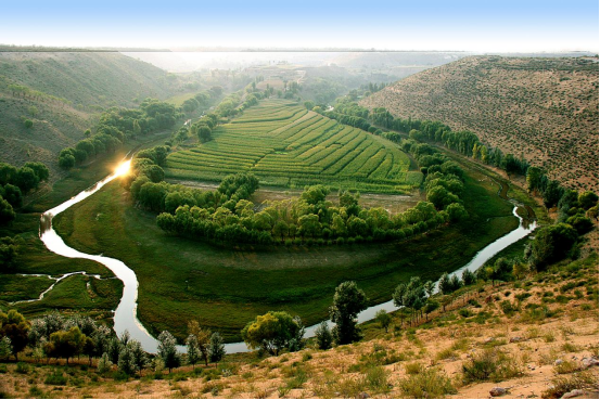 绿色奇迹:鄂尔多斯的生态与生活 绿色奇迹:鄂尔多斯的生态与生活