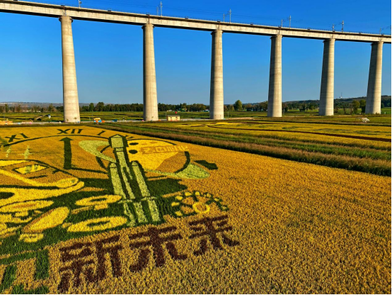 绿色奇迹:鄂尔多斯的生态与生活 绿色奇迹:鄂尔多斯的生态与生活