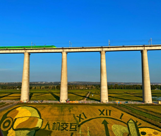 绿色奇迹:鄂尔多斯的生态与生活 绿色奇迹:鄂尔多斯的生态与生活