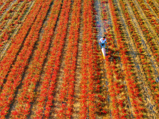 魅力都市与多彩四季:鄂尔多斯的现代活力与自然之美 魅力都市与多彩四季:鄂尔多斯的现代活力与自然之美