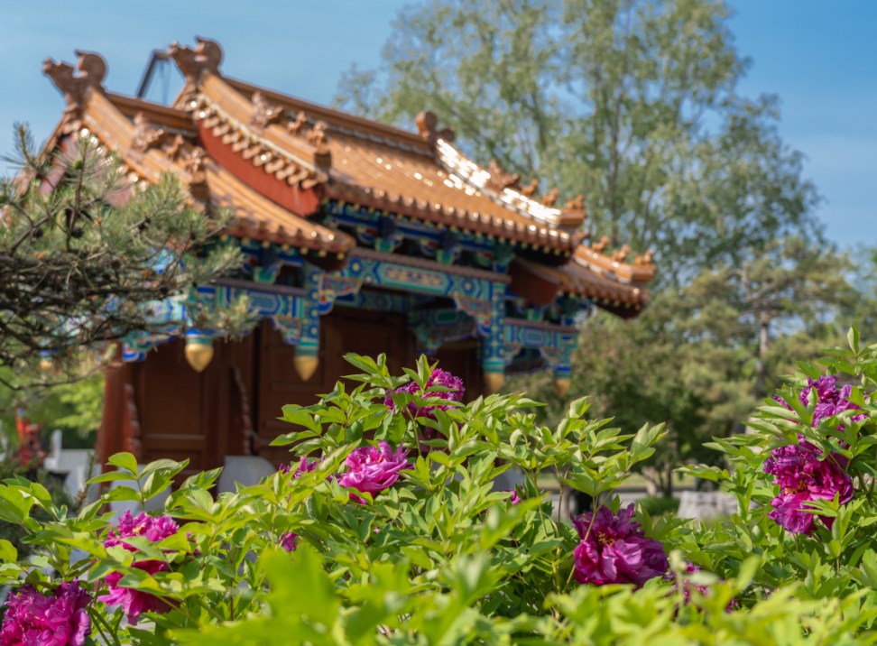 延庆“世园”六载繁花~从这里看见美丽中国