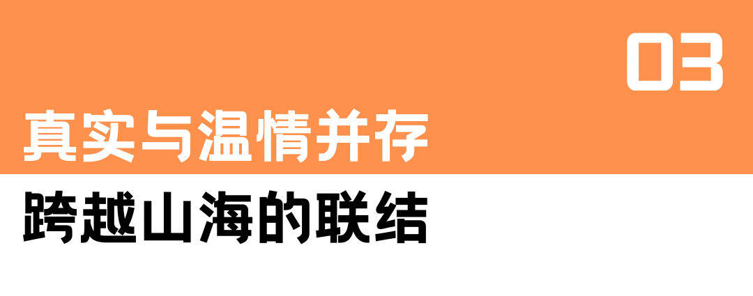 《种地吧3》:重返囊谦践诺言,芫根飘香续振兴